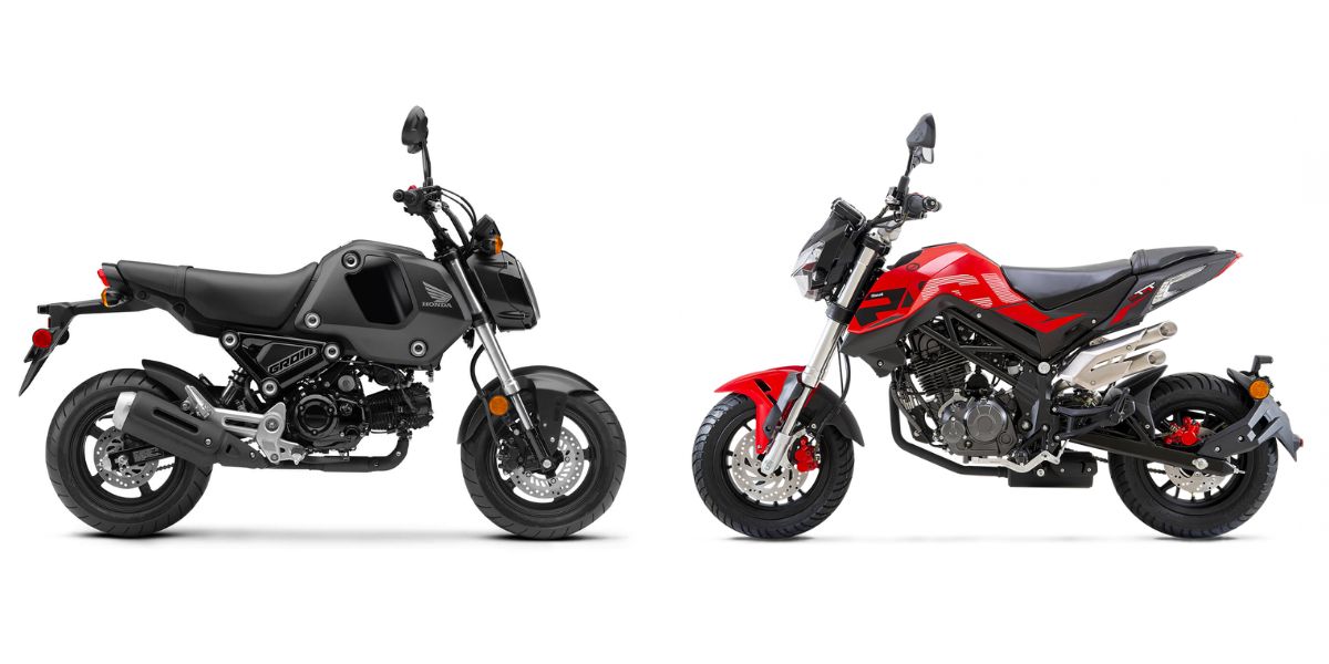 honda grom vs benelli tnt